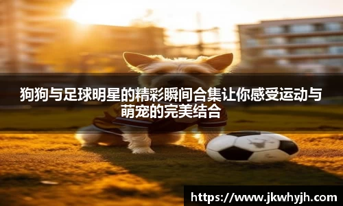 狗狗与足球明星的精彩瞬间合集让你感受运动与萌宠的完美结合